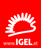 Igel Software & Unternehmensberatung GmbH - Logo